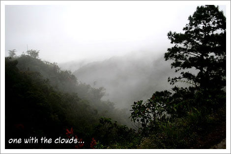 Majestic view of the mountains covered in cloudy mist