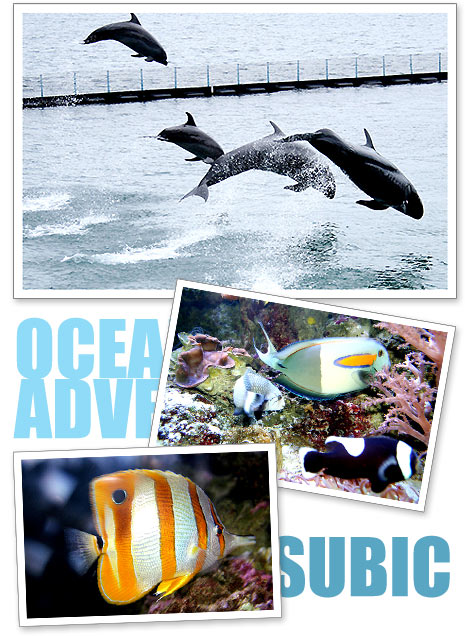 Ocean Adventure, Subic Bay Freeport, Zambales