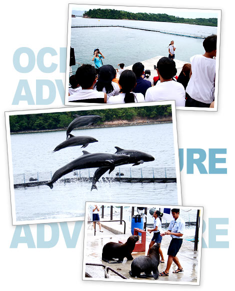Ocean Adventure