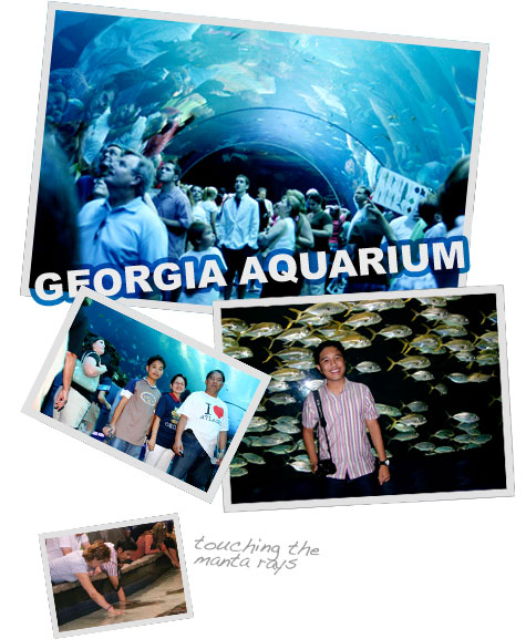 Georgia Aquarium