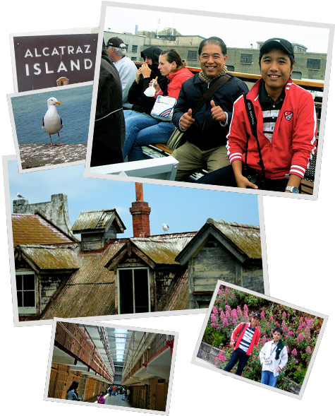 Alcatraz island