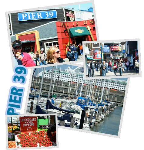 Pier 39, San Francisco, California, USA
