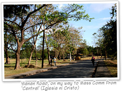 Ylanan Road, University of the Philippines Diliman